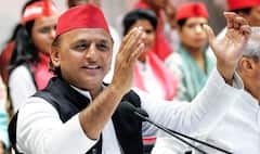 राम मंदिर ध्वजारोहण से पहले अखिलेश यादव का बड़ा बयान, बोले- 'दर्शन के लिए ईश्वरीय इच्छा...'