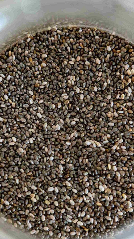 ਇਨ੍ਹਾਂ ਲੋਕਾਂ ਨੂੰ ਨਹੀਂ ਖਾਣੇ ਚਾਹੀਦੇ ਚੀਆ ਸੀਡਸ