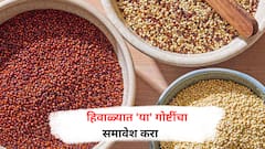 Benefits Of Superfoods : हिवाळ्यात खा 'हे' सुपरफूड्स, शरीर राहील निरोगी