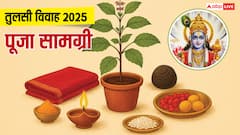 तुलसी विवाह कब, जानें तुलसी शालीग्राम के विवाह और पूजा की सामग्री