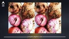 ਕਾਲੇ ਦਾਗ ਵਾਲੇ ਪਿਆਜ਼ ਖਾਣ ਸੁਰੱਖਿਅਤ ਹੁੰਦੇ ਜਾਂ ਨਹੀਂ? ਜਾਣੋ ਮਾਹਿਰਾਂ ਦੀ ਰਾਏ