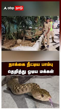நாக்கை நீட்டிய பாம்புதெறித்து ஓடிய மக்கள் மருத்துவமனையில் பரபரப்பு