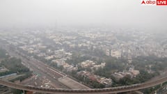 दिल्ली की हवा को क्या चीज बनाती है जहरीला, पराली से लेकर धुआं तक... किस चीज के लिए क्या जिम्मेदार?
