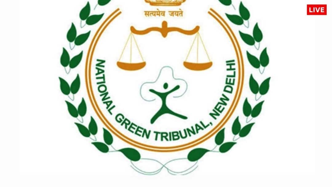 देशभर के स्कूलों में बदले जाएंगे एस्बेस्टस रूफ, NGT का केंद्र सरकार को पॉलिसी बनाने का निर्देश