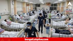 হু হু করে বাড়ছে এইসব সংক্রামক রোগ, আটকানো যাচ্ছে না মৃত্যু, ভয়ঙ্কর তথ্য দিল WHO