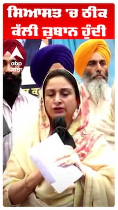 ਸਿਆਸਤ 'ਚ ਠੀਕ ਕੱਲੀ ਜ਼ੁਬਾਨ ਹੁੰਦੀ