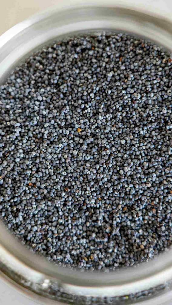 কারা চিয়া সিডস এড়িয়ে চলবেন ?