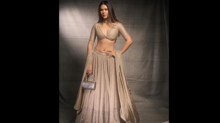 2. सोनम बाजवा: पंजाबी स्टनर सोनम बाजवा ने इस सीज़न में एक लुभावनी शैंपेन-गोल्ड लहंगे में त्योहारी ग्लैमर का तड़का लगाया, जिसने सुंदरता को फिर से परिभाषित किया। नाज़ुक सेक्विन कढ़ाई और टोनल अलंकरणों से सजी उनका लहंगा, बहुत ही भव्यता प्रदर्शित कर रहा था। संरचित आधी आस्तीन वाले डीप-वी ब्लाउज ने एक कामुक लेकिन परिष्कृत स्पर्श जोड़ा, जबकि तरल दुपट्टे ने लुक को सहजता से पूरा किया। सोनम ने चिकने बाल, चमकती त्वचा, नग्न होंठ और मैचिंग आभूषणों के साथ अपनी चमक को साफ और चमकदार बनाए रखा। (छवि स्रोत: इंस्टाग्राम/@sonambajwa)