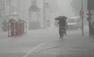 Gujarat Rain: 2 નવે. સુધી રાજ્યમાં સાર્વત્રિક વરસાદની અંબાલાલની આગાહી, જાણો ક્યારથી પડશે કાતિલ ઠંડી ?