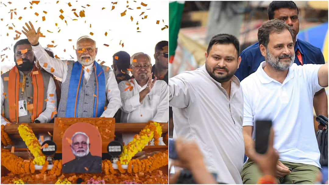 Bihar Elections 2025: Can Voters Take Political Parties To Court Over Unfulfilled Promises?