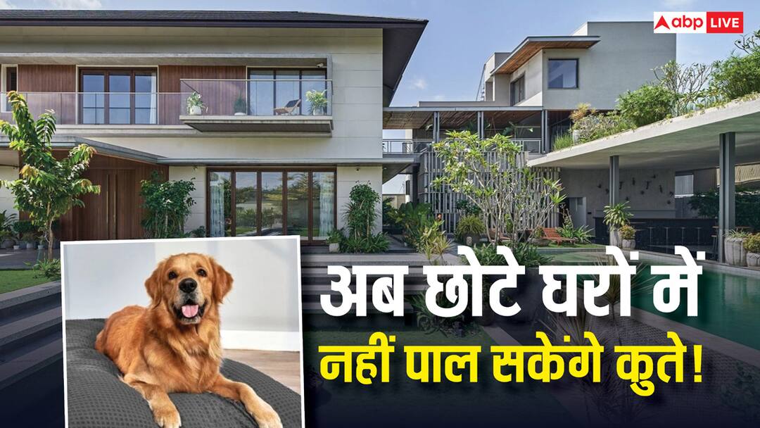 explained-chandigarh-dog-ownership-rules-2025-big-house-poor-status-symbol EXPLAINED: कैसे स्टेटस सिंबल बनेंगे डॉगी, क्या गरीब अब कुत्ता भी नहीं पाल सकता? पालने के लिए खरीदना होगा बड़ा घर!