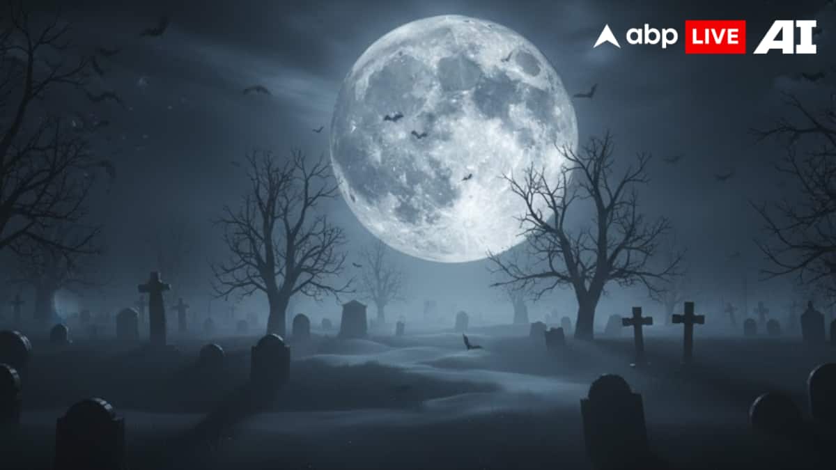 (छवि स्रोत: ABPLIVE AI)
