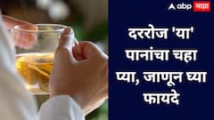 Mango Leaves Tea : दररोज एक कप आंब्याच्या पानांचा चहा घ्या, शरीर राहील निरोगी!