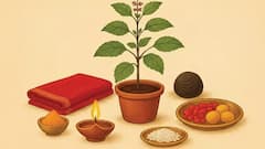 Tulsi Vivah 2025: તુલસી વિવાહ ક્યારે? જાણો તુલસી અને શાલિગ્રામના લગ્ન અને પૂજાની સામગ્રી વિશે