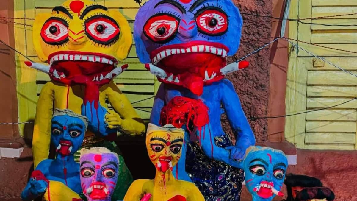 (Image Source: Facebook/DrAmlesh Pandey)