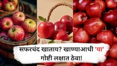 Apple: सफरचंद खाण्याआधी नेहमी 'हे' करा, नाहीतर आरोग्याचं होईल नुकसान!