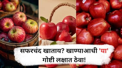 Apple:सफरचंद आरोग्यासाठी अतिशय फायदेशीर असतं पण आजकाल बाजारात त्यावर चमक आणि ताजेपणा टिकवण्यासाठी वॅक्सचा वापर केला जाते. हा वॅक्स आपल्या आरोग्यासाठी हानिकारक असतो.