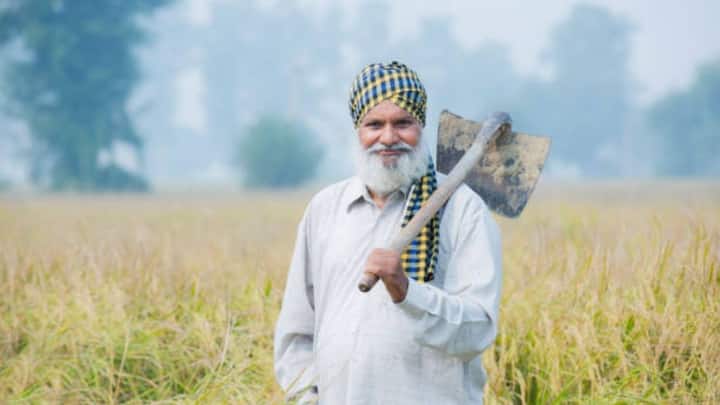 हाल ही में पंजाब, उत्तराखंड, हिमाचल और जम्मू-कश्मीर के किसानों को 21वीं किस्त का पैसा मिल चुका है. ऐसे में मुमकिन है कि बाकी राज्यों में भी पेमेंट जल्द जारी हो जाए. रिपोर्ट्स के मुताबिक पीएम किसान योजना की 21वीं किस्त नवंबर 2025 के पहले हफ्ते में जारी हो सकती है.