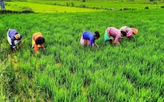 ਕਿਸਾਨਾਂ ਦੇ ਖਾਤਿਆਂ 'ਚ ਇਸ ਦਿਨ ਆਉਣਗੇ 21ਵੀਂ ਕਿਸ਼ਤ ਦੇ ਪੈਸੇ, ਇਦਾਂ ਚੈੱਕ ਕਰੋ ਆਪਣਾ ਸਟੇਟਸ