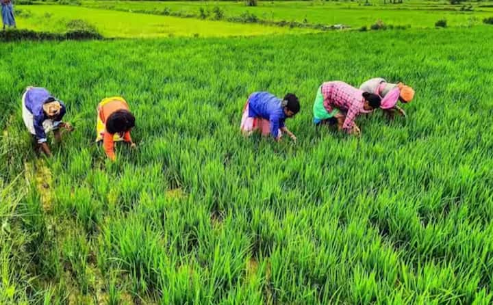 ਪ੍ਰਧਾਨ ਮੰਤਰੀ ਕਿਸਾਨ ਸਨਮਾਨ ਨਿਧੀ ਯੋਜਨਾ ਦੇ ਤਹਿਤ ਕਿਸਾਨਾਂ ਨੂੰ ਸਾਲਾਨਾ ₹6,000 ਦੀ ਵਿੱਤੀ ਸਹਾਇਤਾ ਪ੍ਰਦਾਨ ਕੀਤੀ ਜਾਂਦੀ ਹੈ, ਜੋ ਕਿ ਤਿੰਨ ਕਿਸ਼ਤਾਂ ਵਿੱਚ ਵੰਡੀ ਜਾਂਦੀ ਹੈ। ਇਸ ਯੋਜਨਾ ਦਾ ਉਦੇਸ਼ ਛੋਟੇ ਅਤੇ ਸੀਮਾਂਤ ਕਿਸਾਨਾਂ ਨੂੰ ਉਨ੍ਹਾਂ ਦੀਆਂ ਖੇਤੀ ਜ਼ਰੂਰਤਾਂ ਨੂੰ ਪੂਰਾ ਕਰਨ ਲਈ ਵਿੱਤੀ ਸਹਾਇਤਾ ਪ੍ਰਦਾਨ ਕਰਨਾ ਹੈ।