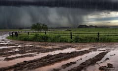 Rain Forecast: રાજ્યમાં હજુ કેટલા દિવસ વરસશે વરસાદ, આ જિલ્લામાં ભારે વરસાદનું એલર્ટ