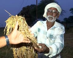 કમોસમી વરસાદના કારણે સાણંદના ખેડૂતો થયા પાયમાલ: કહ્યું- “હાથમાં આવેલો કોળિયો છીનવાઈ ગયો”