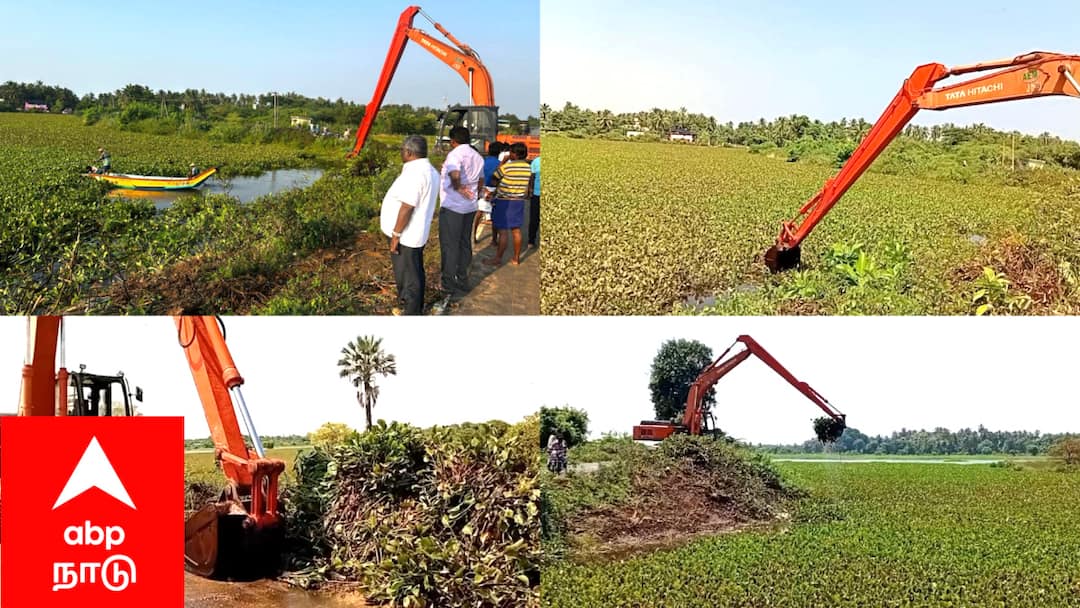 பெருந்தோட்டம் ஏரியில் 116 ஏக்கரில் படர்ந்த ஆகாயத் தாமரை அகற்றம்: விவசாயிகள் மகிழ்ச்சி