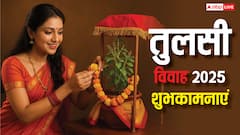 हर आंगन में गूंजे मंगल गीत, तुलसी विवाह के पावन अवसर पर भेजें ये शुभकामनाएं