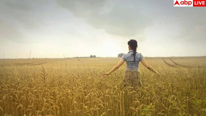 न्यूजीलैंड शांत और खूबसूरत देश है. यहां की हरी-भरी वादियां, सुरक्षित माहौल और बेहतर स्वास्थ्य व्यवस्था इसे रहने के लिए बेहतर बनाती हैं. यहां अपराध दर भी बहुत कम है, इसलिए परिवारों के लिए यह देश परफेक्ट माना जाता है.