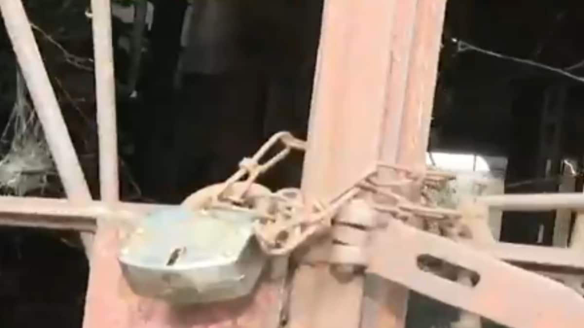 बिहार चुनाव: युवा घर छोड़ने को मजबूर, पलायन की समस्या कैसे होगी दूर? खास रिपोर्ट