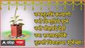 Tulsi Vivah 2025 Wishes : तुळशी विवाहाच्या शुभ मुहूर्तावर मित्र-परिवारासह नातेवाईकांना द्या खास शुभेच्छा; पाठवा 'हे' हटके मेसेजेस, फोटोज