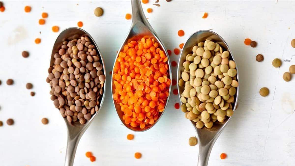 World Vegan Day 2025: 10 Game-Changing Vegan Proteins For Energy, Strength, And Vitality