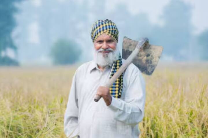 ਹਾਲ ਹੀ ਵਿੱਚ, ਪੰਜਾਬ, ਉਤਰਾਖੰਡ, ਹਿਮਾਚਲ ਪ੍ਰਦੇਸ਼ ਅਤੇ ਜੰਮੂ-ਕਸ਼ਮੀਰ ਦੇ ਕਿਸਾਨਾਂ ਨੂੰ ਆਪਣੀ 21ਵੀਂ ਕਿਸ਼ਤ ਮਿਲੀ ਹੈ। ਇਸ ਲਈ, ਇਹ ਸੰਭਵ ਹੈ ਕਿ ਹੋਰ ਰਾਜਾਂ ਵਿੱਚ ਵੀ ਜਲਦੀ ਹੀ ਭੁਗਤਾਨ ਜਾਰੀ ਕੀਤੇ ਜਾਣਗੇ। ਰਿਪੋਰਟਾਂ ਦੇ ਅਨੁਸਾਰ, ਪ੍ਰਧਾਨ ਮੰਤਰੀ ਕਿਸਾਨ ਯੋਜਨਾ ਦੀ 21ਵੀਂ ਕਿਸ਼ਤ ਨਵੰਬਰ 2025 ਦੇ ਪਹਿਲੇ ਹਫ਼ਤੇ ਜਾਰੀ ਕੀਤੀ ਜਾ ਸਕਦੀ ਹੈ।