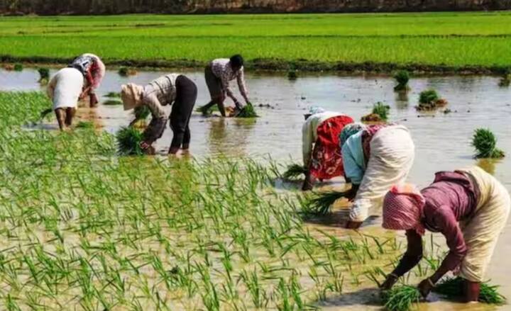 ਬਹੁਤ ਸਾਰੇ ਕਿਸਾਨ ਸੋਚ ਰਹੇ ਹੋਣਗੇ ਕਿ ਕੀ 1 ਨਵੰਬਰ ਨੂੰ ਉਨ੍ਹਾਂ ਦੇ ਖਾਤਿਆਂ ਵਿੱਚ ਪੈਸੇ ਜਮ੍ਹਾਂ ਹੋ ਜਾਣਗੇ। ਬਿਹਾਰ ਚੋਣਾਂ ਦੇ ਪਹਿਲੇ ਪੜਾਅ ਦੇ ਕਾਰਨ ਇਹ ਚਰਚਾ ਤੇਜ਼ ਹੋ ਗਈ ਹੈ, ਜੋ ਕਿ 6 ਨਵੰਬਰ ਨੂੰ ਹੋਣ ਜਾ ਰਹੀ ਹੈ। ਅਜਿਹੇ ਵਿੱਚ, ਸਰਕਾਰ ਕਿਸਾਨਾਂ ਨੂੰ ਰਾਹਤ ਪ੍ਰਦਾਨ ਕਰਨ ਲਈ ਪਹਿਲਾਂ ਤੋਂ ਪੈਸੇ ਜਾਰੀ ਕਰ ਸਕਦੀ ਹੈ।