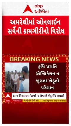 Amreli Protest news: અમરેલી જિલ્લામાં ઓનલાઇન પાક નુકસાન સર્વેનો ખેડૂતોએ કર્યો વિરોધ