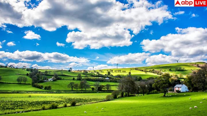 इन देशों में साफ-सफाई और पर्यावरण का खास ध्यान रखा जाता है. यहां की हवा साफ होती है और प्रदूषण बहुत कम होता है. इसलिए लोग यहां खुद को हेल्दी और तनावमुक्त महसूस करते हैं.