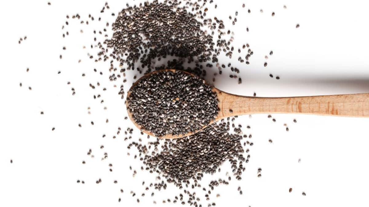 World Vegan Day 2025: 10 Game-Changing Vegan Proteins For Energy, Strength, And Vitality