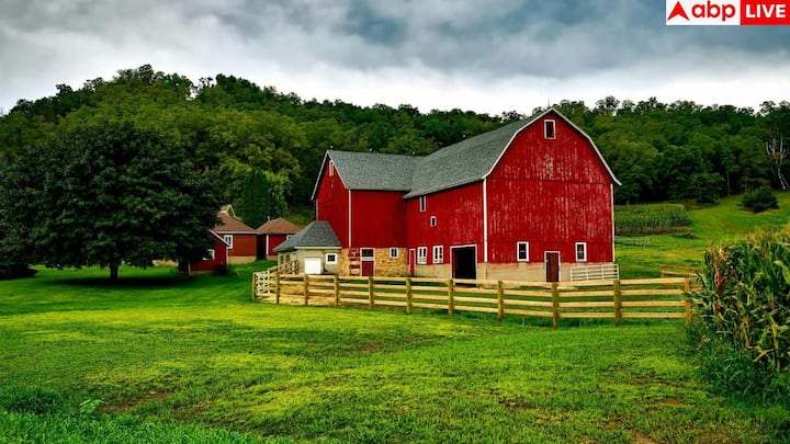 इन चारों देशों में शिक्षा और सुरक्षा का स्तर काफी ऊंचा है. बच्चे यहां बेहतर स्कूलों में पढ़ते हैं और महिलाएं भी खुद को सुरक्षित महसूस करती हैं. यही वजह है कि लोग यहां बसने का सपना देखते हैं.