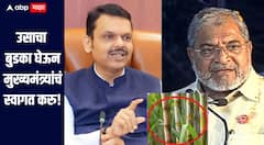 उसाला 3 हजार 400 रुपयांचा दर मान्य नाही, तोडगा काढा, नाहीतर 5 तारखेला उसाचा बुडका घेऊन मुख्यमंत्र्यांचं स्वागत करु, राजू शेट्टींचा इशारा