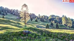 Best country to live: कौन से हैं दुनिया के वे चार देश, जहां बसना होता है हर किसी का सपना?