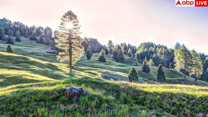 कनाडा दुनिया का सबसे पसंदीदा देश माना जाता है जहां लोग बसना चाहते हैं. यहां की शिक्षा, हेल्थकेयर सिस्टम और साफ-सुथरा वातावरण लोगों को आकर्षित करता है. साथ ही यहां की इमिग्रेशन पॉलिसी भी आसान है, इसलिए लोग आसानी से सेटल हो जाते हैं.