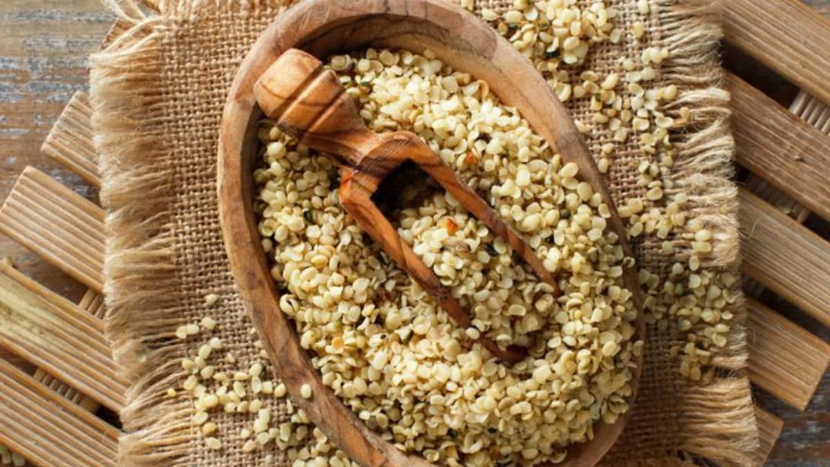 World Vegan Day 2025: 10 Game-Changing Vegan Proteins For Energy, Strength, And Vitality