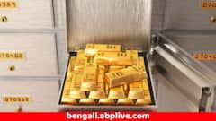 ব্যাঙ্কের লকারে আপনি কত সোনা রাখতে পারেন, ১০ গ্রাম, ১০০ গ্রাম না ৫০০ গ্রাম ?