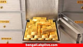 Gold Storage In Bank Locker : ব্যাঙ্কের লকারে আপনি কত সোনা রাখতে পারেন, ১০ গ্রাম, ১০০ গ্রাম না ৫০০ গ্রাম ?