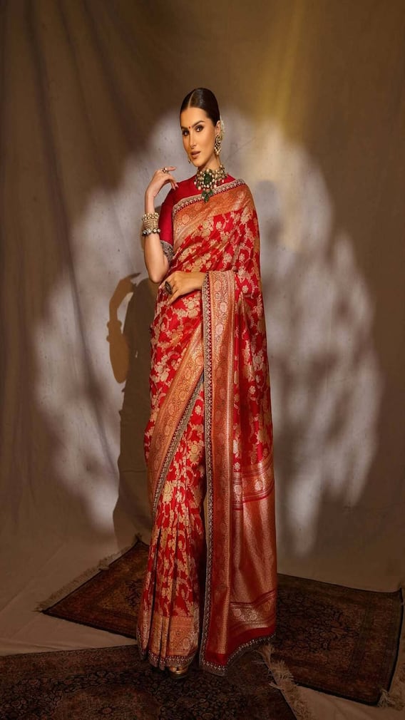 Tara Sutaria Channels Royal Charm In Red Banarasi Saree