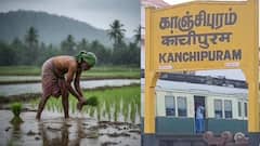 விவசாயிகளுக்கு முக்கிய அறிவிப்பு! நெல் II பயிர் காப்பீடு செய்ய கடைசி நாள்: நவம்பர் 15! தவறவிடாதீர்!