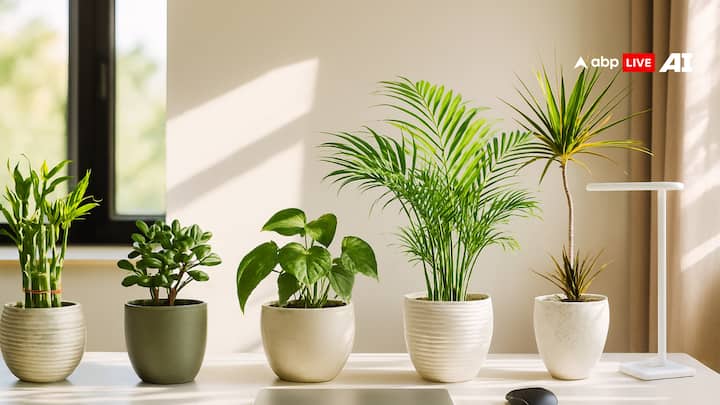 वास्तु शास्त्र के अनुसार, ऑफिस में कभी भी आपका मुंह दक्षिण (South) या दक्षिण-पूर्व (South-East) दिशा की ओर नहीं होना चाहिए. ये दोनों ही दिशा अशुभ मानी जाती है.