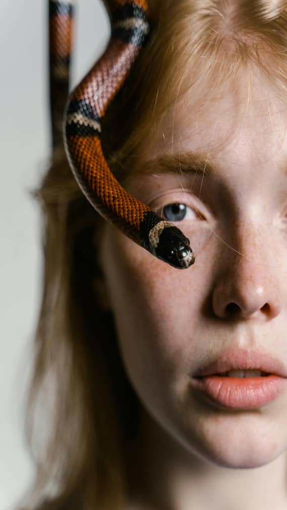 उड़ने वाले सांपों में कितना जहर होता है?