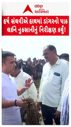 Harsh Sanghavi: નાયબ મુખ્યમંત્રી હર્ષ સંઘવીએ હાથમાં ડાંગરનો પાક લઈને નુકસાનીનું નિરીક્ષણ કર્યું!