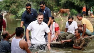 Watch: Rahul Gandhi Jumps Into Pond In Bihar, Catches Fish During Campaign Trail